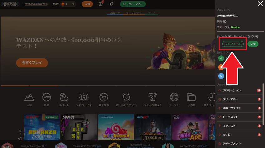 ジョイカジノ　プロフィール