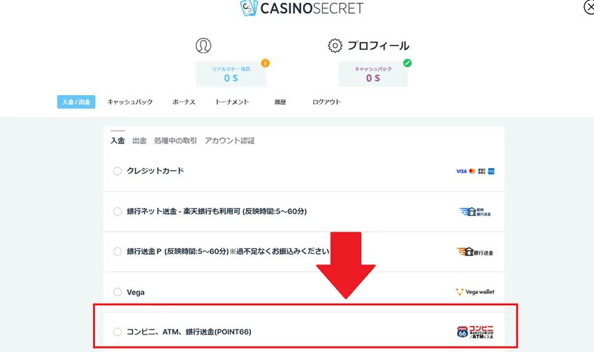 ポイント66　入出金方法