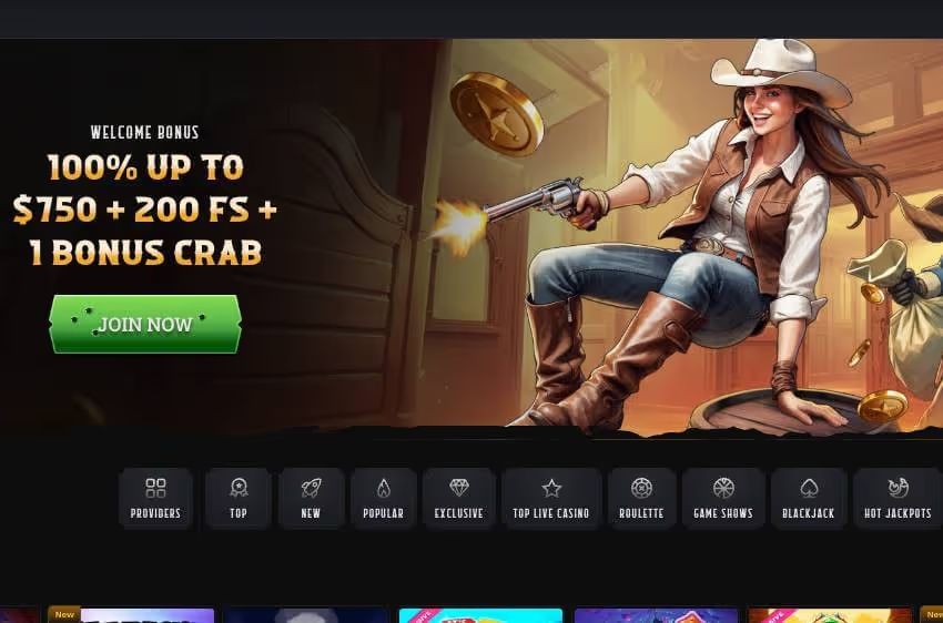 wildsino casino welcome bonus