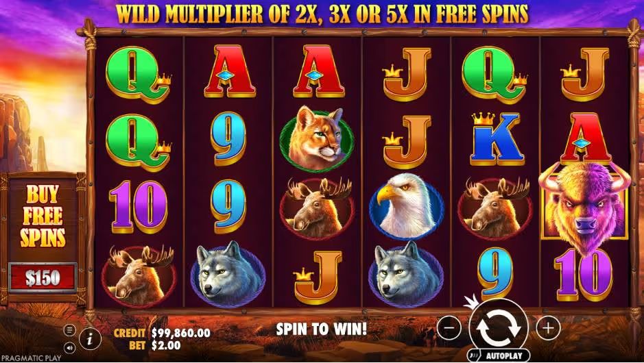 Buffalo King Pokie Design Screenshot