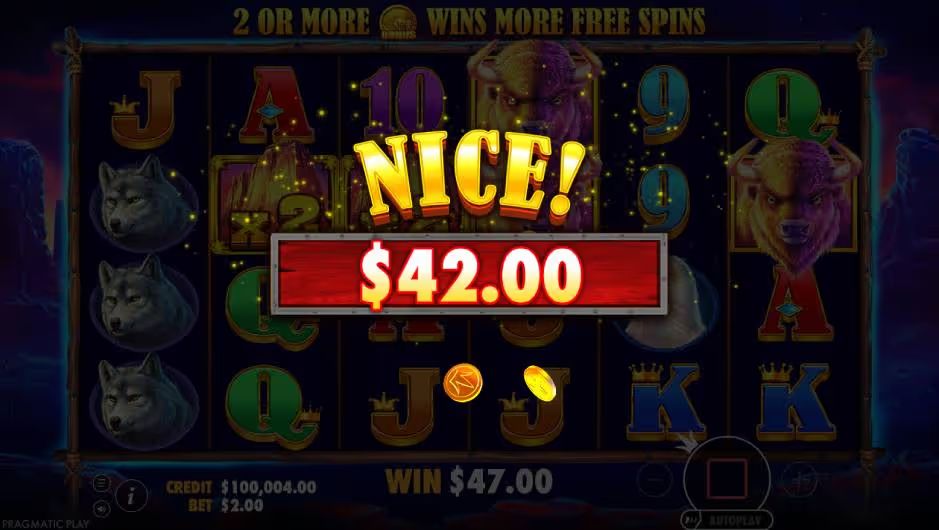 Buffalo King Slot Nice Win