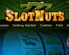 Slot Nuts