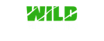 Wild Casino
