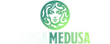 Mega Medusa Casino Review %%current_year%%: No Deposit Bonuses, Crypto Payouts, and Risks Explained