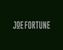 Joe Fortune Casino
