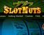 Slot Nuts