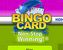 BingoCard