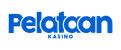 Pelataan Casino Review