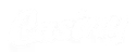 Casiny Casino Logo