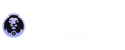 CryptoLeo