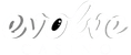 Evolve Casino